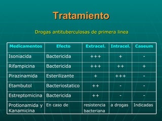 Tratamiento Drogas antituberculosas de primera linea Indicadas a drogas resistencia bacteriana En caso de Protionamida y Kanamicina - - ++ Bactericida Estreptomicina - - ++ Bacteriostatico Etambutol - +++ + Esterilizante Pirazinamida + ++ +++ Bactericida Rifampicina - + +++ Bactericida Isoniacida Caseum Intracel. Extracel. Efecto Medicamentos 