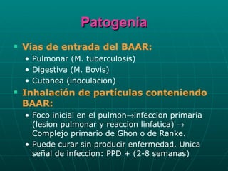 Patogenia Vías de entrada del BAAR: Pulmonar (M. tuberculosis) Digestiva (M. Bovis) Cutanea (inoculacion) Inhalación de partículas conteniendo BAAR: Foco inicial en el pulmon  infeccion primaria (lesion pulmonar y reaccion linfatica)    Complejo primario de Ghon o de Ranke. Puede curar sin producir enfermedad. Unica señal de infeccion: PPD + (2-8 semanas) 