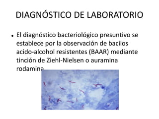 DIAGNÓSTICO DE LABORATORIO
   El diagnóstico bacteriológico presuntivo se
    establece por la observación de bacilos
    acido-alcohol resistentes (BAAR) mediante
    tinción de Ziehl-Nielsen o auramina
    rodamina
 