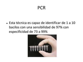 PCR

   Esta técnica es capaz de identificar de 1 a 10
    bacilos con una sensibilidad de 97% con
    especificidad de 73 a 99%
 