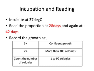 Incubation and Reading
• Incubate at 37degC
• Read the proportion at 28days and again at
42 days
• Record the growth as:
3+ Confluent growth
2+ More than 100 colonies
Count the number
of colonies
1 to 99 colonies
 