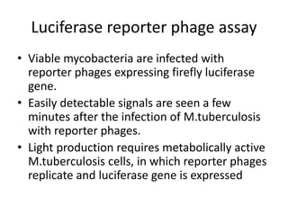 Luciferase reporter phage assay
• Viable mycobacteria are infected with
reporter phages expressing firefly luciferase
gene.
• Easily detectable signals are seen a few
minutes after the infection of M.tuberculosis
with reporter phages.
• Light production requires metabolically active
M.tuberculosis cells, in which reporter phages
replicate and luciferase gene is expressed
 