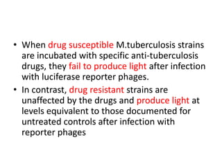 • When drug susceptible M.tuberculosis strains
are incubated with specific anti-tuberculosis
drugs, they fail to produce light after infection
with luciferase reporter phages.
• In contrast, drug resistant strains are
unaffected by the drugs and produce light at
levels equivalent to those documented for
untreated controls after infection with
reporter phages
 