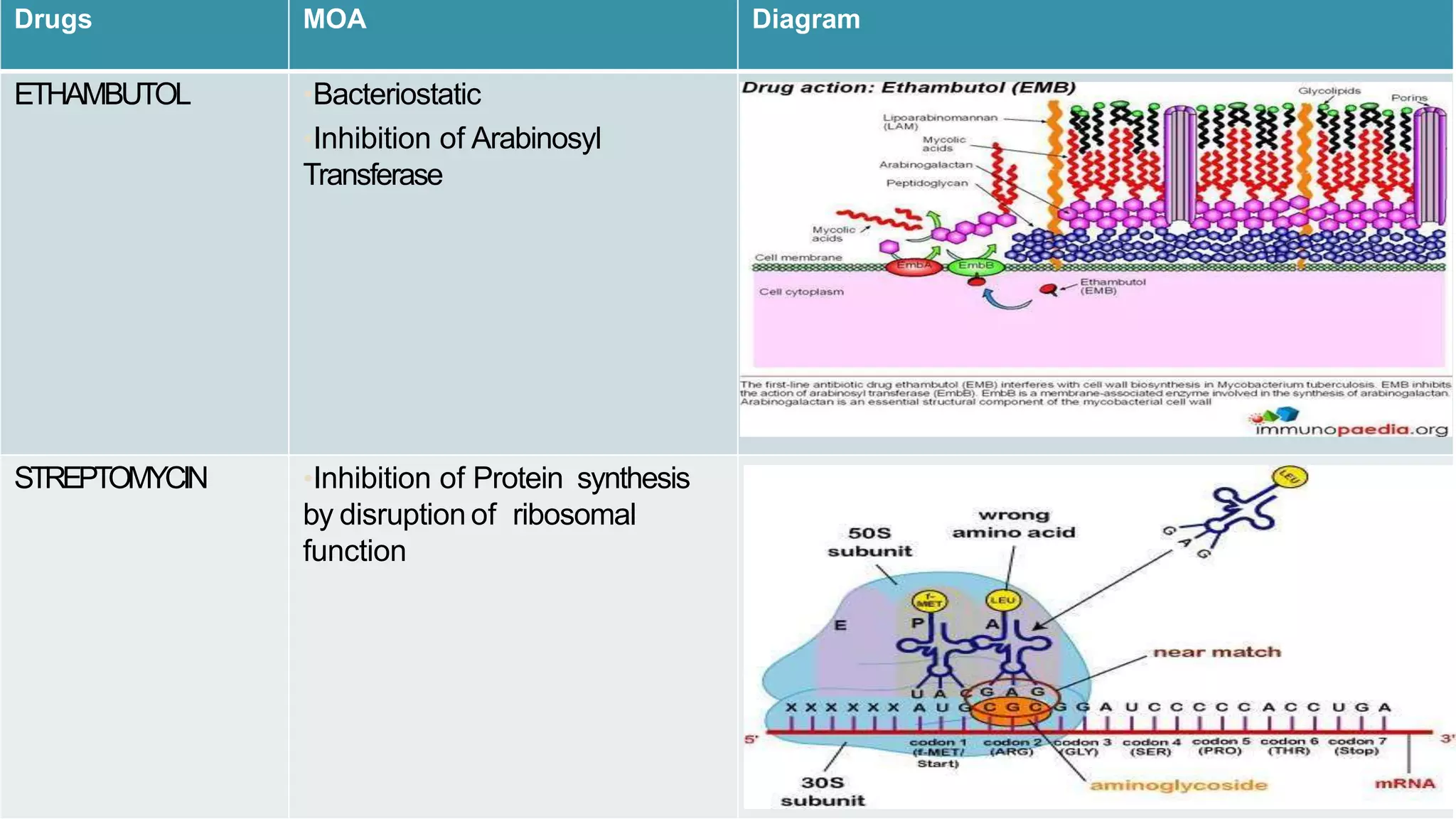 Drugs MOA Diagram
ETHAMBUTOL •Bacteriostatic
•Inhibition of Arabinosyl
Transferase
STREPTOMYCIN •Inhibition of Protein synthesis
by disruption of ribosomal
function
 