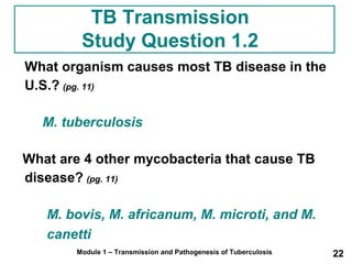 TB Transmission 
Study Question 1.2 
What organism causes most TB disease in the 
U.S.? (pg. 11) 
M. tuberculosis 
What are 4 other mycobacteria that cause TB 
disease? (pg. 11) 
M. bovis, M. africanum, M. microti, and M. 
canetti 
Module 1 – Transmission and Pathogenesis of Tuberculosis 22 
 