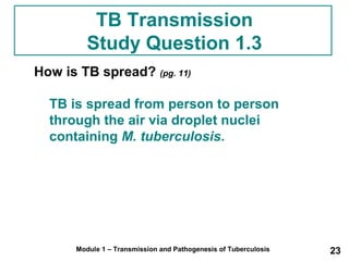 TB Transmission 
Study Question 1.3 
How is TB spread? (pg. 11) 
TB is spread from person to person 
through the air via droplet nuclei 
containing M. tuberculosis. 
Module 1 – Transmission and Pathogenesis of Tuberculosis 23 
 