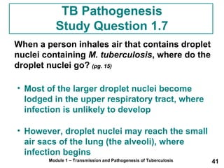 TB Pathogenesis 
Study Question 1.7 
When a person inhales air that contains droplet 
nuclei containing M. tuberculosis, where do the 
droplet nuclei go? (pg. 15) 
• Most of the larger droplet nuclei become 
lodged in the upper respiratory tract, where 
infection is unlikely to develop 
• However, droplet nuclei may reach the small 
air sacs of the lung (the alveoli), where 
infection begins 
Module 1 – Transmission and Pathogenesis of Tuberculosis 41 
 
