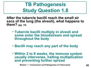 TB Pathogenesis 
Study Question 1.8 
After the tubercle bacilli reach the small air 
sacs of the lung (the alveoli), what happens to 
them? (pg. 15) 
• Tubercle bacilli multiply in alveoli and 
some enter the bloodstream and spread 
throughout the body 
• Bacilli may reach any part of the body 
• Within 2 to 8 weeks, the immune system 
usually intervenes, halting multiplication 
and preventing further spread 
Module 1 – Transmission and Pathogenesis of Tuberculosis 42 
 