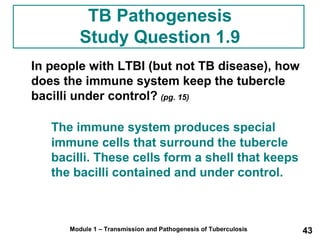 TB Pathogenesis 
Study Question 1.9 
In people with LTBI (but not TB disease), how 
does the immune system keep the tubercle 
bacilli under control? (pg. 15) 
The immune system produces special 
immune cells that surround the tubercle 
bacilli. These cells form a shell that keeps 
the bacilli contained and under control. 
Module 1 – Transmission and Pathogenesis of Tuberculosis 43 
 