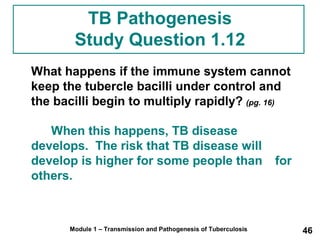 TB Pathogenesis 
Study Question 1.12 
What happens if the immune system cannot 
keep the tubercle bacilli under control and 
the bacilli begin to multiply rapidly? (pg. 16) 
When this happens, TB disease 
develops. The risk that TB disease will 
develop is higher for some people than for 
others. 
Module 1 – Transmission and Pathogenesis of Tuberculosis 46 
 
