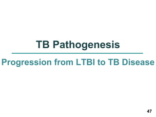 47 
TB Pathogenesis 
Progression from LTBI to TB Disease 
 