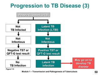 Progression to TB Disease (3) 
PPeeooppllee EExxppoosseedd ttoo TTBB 
Module 1 – Transmission and Pathogenesis of Tuberculosis 50 
Not 
TB Infected 
LLaatteenntt TTBB 
IInnffeeccttiioonn ((LLTTBBII)) 
NNoott 
IInnffeeccttiioouuss 
PPoossiittiivvee TTSSTT oorr 
QQFFTT--GG tteesstt rreessuulltt 
LLaatteenntt TTBB 
IInnffeeccttiioonn 
MMaayy ggoo oonn ttoo 
ddeevveelloopp TTBB 
ddiisseeaassee 
Not 
Infectious 
Negative TST or 
QFT-G test result 
No 
TB Infection 
Figure 1.5 
 