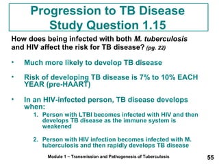Progression to TB Disease 
Study Question 1.15 
How does being infected with both M. tuberculosis 
and HIV affect the risk for TB disease? (pg. 22) 
• Much more likely to develop TB disease 
• Risk of developing TB disease is 7% to 10% EACH 
YEAR (pre-HAART) 
• In an HIV-infected person, TB disease develops 
Module 1 – Transmission and Pathogenesis of Tuberculosis 55 
when: 
1. Person with LTBI becomes infected with HIV and then 
develops TB disease as the immune system is 
weakened 
2. Person with HIV infection becomes infected with M. 
tuberculosis and then rapidly develops TB disease 
 