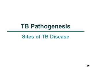 56 
TB Pathogenesis 
Sites of TB Disease 
 