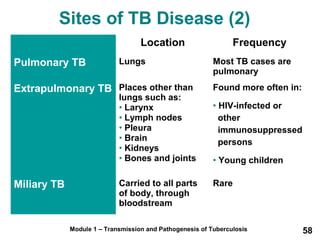 Sites of TB Disease (2) 
Location Frequency 
Pulmonary TB Lungs Most TB cases are 
pulmonary 
Extrapulmonary TB Places other than 
lungs such as: 
• Larynx 
• Lymph nodes 
• Pleura 
• Brain 
• Kidneys 
• Bones and joints 
Found more often in: 
• HIV-infected or 
other 
immunosuppressed 
persons 
• Young children 
Miliary TB Carried to all parts 
of body, through 
bloodstream 
Rare 
Module 1 – Transmission and Pathogenesis of Tuberculosis 58 
 
