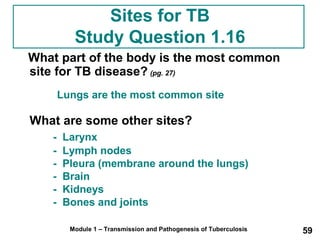 Sites for TB 
Study Question 1.16 
What part of the body is the most common 
site for TB disease? (pg. 27) 
Lungs are the most common site 
What are some other sites? 
- Larynx 
- Lymph nodes 
- Pleura (membrane around the lungs) 
- Brain 
- Kidneys 
- Bones and joints 
Module 1 – Transmission and Pathogenesis of Tuberculosis 59 
 