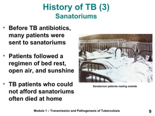 History of TB (3) 
Sanatoriums 
• Before TB antibiotics, 
many patients were 
sent to sanatoriums 
• Patients followed a 
regimen of bed rest, 
open air, and sunshine 
• TB patients who could 
not afford sanatoriums 
often died at home 
Sanatorium patients resting outside 
Module 1 – Transmission and Pathogenesis of Tuberculosis 9 
 
