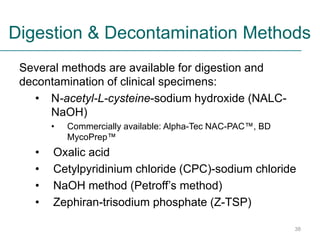 TB_Specimen_Collection_thru_Processing_TrainerNotes.pdf