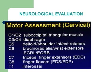 NEUROLOGICAL EVALUATION
 