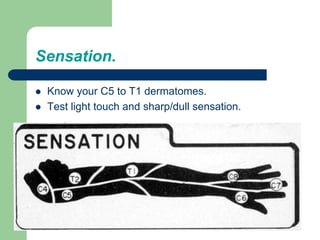 Sensation.
 Know your C5 to T1 dermatomes.
 Test light touch and sharp/dull sensation.
 