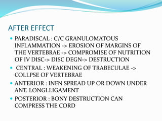 AFTER EFFECT
 PARADISCAL : C/C GRANULOMATOUS
INFLAMMATION -> EROSION OF MARGINS OF
THE VERTEBRAE -> COMPROMISE OF NUTRITION
OF IV DISC-> DISC DEGN-> DESTRUCTION
 CENTRAL : WEAKENING OF TRABECULAE ->
COLLPSE OF VERTEBRAE
 ANTERIOR : INFN SPREAD UP OR DOWN UNDER
ANT. LONGI.LIGAMENT
 POSTERIOR : BONY DESTRUCTION CAN
COMPRESS THE CORD
 