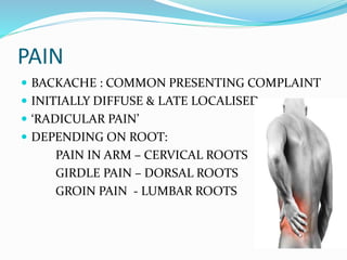 PAIN
 BACKACHE : COMMON PRESENTING COMPLAINT
 INITIALLY DIFFUSE & LATE LOCALISED
 ‘RADICULAR PAIN’
 DEPENDING ON ROOT:
PAIN IN ARM – CERVICAL ROOTS
GIRDLE PAIN – DORSAL ROOTS
GROIN PAIN - LUMBAR ROOTS
 