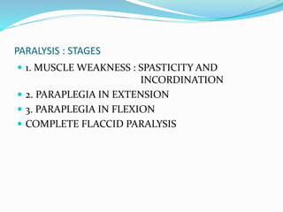 PARALYSIS : STAGES
 1. MUSCLE WEAKNESS : SPASTICITY AND
INCORDINATION
 2. PARAPLEGIA IN EXTENSION
 3. PARAPLEGIA IN FLEXION
 COMPLETE FLACCID PARALYSIS
 