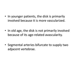 • In younger patients, the disk is primarily
involved because it is more vascularized.
• In old age, the disk is not primarily involved
because of its age-related avascularity.
• Segmental arteries bifurcate to supply two
adjacent vertebrae.
 