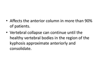• Affects the anterior column in more than 90%
of patients.
• Vertebral collapse can continue until the
healthy vertebral bodies in the region of the
kyphosis approximate anteriorly and
consolidate.
 