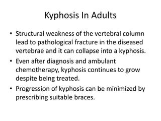 Kyphosis In Adults
• Structural weakness of the vertebral column
lead to pathological fracture in the diseased
vertebrae and it can collapse into a kyphosis.
• Even after diagnosis and ambulant
chemotherapy, kyphosis continues to grow
despite being treated.
• Progression of kyphosis can be minimized by
prescribing suitable braces.
 