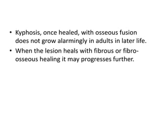 • Kyphosis, once healed, with osseous fusion
does not grow alarmingly in adults in later life.
• When the lesion heals with fibrous or fibro-
osseous healing it may progresses further.
 