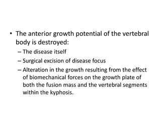 • The anterior growth potential of the vertebral
body is destroyed:
– The disease itself
– Surgical excision of disease focus
– Alteration in the growth resulting from the effect
of biomechanical forces on the growth plate of
both the fusion mass and the vertebral segments
within the kyphosis.
 