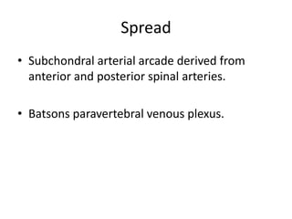 Spread
• Subchondral arterial arcade derived from
anterior and posterior spinal arteries.
• Batsons paravertebral venous plexus.
 