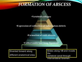 •Formation of cold abscess
•Collect under ant-long-ligament
•Vertebral collapse
•Expression of collection of tuberculous debris
Diverted forward along
different anatomical sites
Slides along VB and invade
the
vertebral canal through
intervertebral foramen.
 