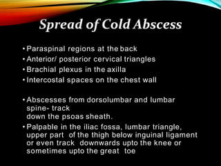 • Paraspinal regions at the back
• Anterior/ posterior cervical triangles
• Brachial plexus in the axilla
• Intercostal spaces on the chest wall
• Abscesses from dorsolumbar and lumbar
spine- track
down the psoas sheath.
• Palpable in the iliac fossa, lumbar triangle,
upper part of the thigh below inguinal ligament
or even track downwards upto the knee or
sometimes upto the great toe
 