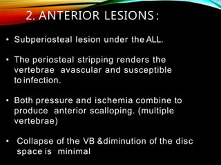 • Subperiosteal lesion under the ALL.
• The periosteal stripping renders the
vertebrae avascular and susceptible
to infection.
• Both pressure and ischemia combine to
produce anterior scalloping. (multiple
vertebrae)
• Collapse of the VB &diminution of the disc
space is minimal
2. ANTERIOR LESIONS :
 
