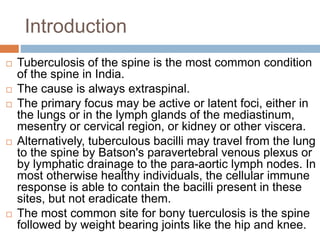 Introduction
 Tuberculosis of the spine is the most common condition
of the spine in India.
 The cause is always extraspinal.
 The primary focus may be active or latent foci, either in
the lungs or in the lymph glands of the mediastinum,
mesentry or cervical region, or kidney or other viscera.
 Alternatively, tuberculous bacilli may travel from the lung
to the spine by Batson's paravertebral venous plexus or
by lymphatic drainage to the para-aortic lymph nodes. In
most otherwise healthy individuals, the cellular immune
response is able to contain the bacilli present in these
sites, but not eradicate them.
 The most common site for bony tuerculosis is the spine
followed by weight bearing joints like the hip and knee.
 