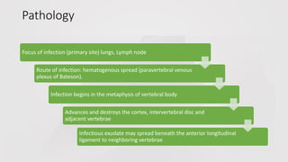 Pathology
Focus of infection (primary site) lungs, Lymph node
Route of infection: hematogenous spread (paravertebral venous
plexus of Bateson).
Infection begins in the metaphysis of vertebral body
Advances and destroys the cortex, intervertebral disc and
adjacent vertebrae
Infectious exudate may spread beneath the anterior longitudinal
ligament to neighboring vertebrae
 