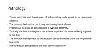 Pathology
• Tissue necrosis and breakdown of inflammatory cells result in a paraspinal
abscess.
• The pus may be localized, or it may track along tissue planes.
• Progressive necrosis of bone leads to a kyphotic deformity.
• Typically, the infection begins in the anterior aspect of the vertebral body adjacent
to the disk.
• The infection then spreads to the adjacent vertebral bodies under the longitudinal
ligaments.
• Noncontiguous (skip) lesions are also seen occasionally
 