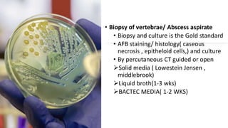 • Biopsy of vertebrae/ Abscess aspirate
• Biopsy and culture is the Gold standard
• AFB staining/ histology( caseous
necrosis , epitheloid cells,) and culture
• By percutaneous CT guided or open
Solid media ( Lowestein Jensen ,
middlebrook)
Liquid broth(1-3 wks)
BACTEC MEDIA( 1-2 WKS)
 