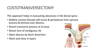 COSTOTRANSVERSECTOMY
This approach helps in evacuating abscesses in the dorsal spine .
• Midline incision Elevate soft tissue & periosteum from spinous
process & laminae over abscess.
• Resect transverse process at its base
• Resect 5cm of contiguous rib
• Open abscess by blunt dissection
• Wash and close in layers
 