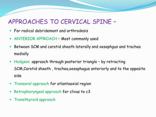 APPROACHES TO CERVICAL SPINE –
 For radical debridement and arthrodesis
 ANTERIOR APPROACH – Most commonly used
 Between SCM and carotid sheath laterally and oesophgus and trachea
medially
 Hodgson approach through posterior triangle – by retracting
SCM,Carotid sheath , trachea,oesophagus anteriorly and to the opposite
side
 Transoral approach for atlantoaxial region
 Retropharyngeal approach for clivus to c3
 Transthyroid approach
 