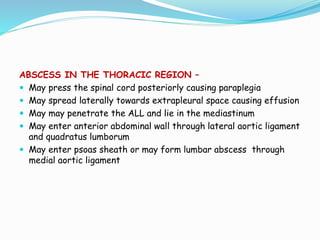 ABSCESS IN THE THORACIC REGION –
 May press the spinal cord posteriorly causing paraplegia
 May spread laterally towards extrapleural space causing effusion
 May may penetrate the ALL and lie in the mediastinum
 May enter anterior abdominal wall through lateral aortic ligament
and quadratus lumborum
 May enter psoas sheath or may form lumbar abscess through
medial aortic ligament
 