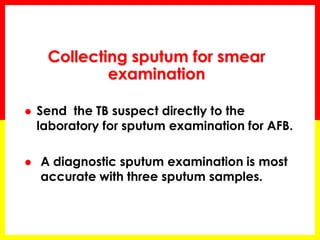 Collecting sputum for smear examination 
Send the TB suspect directly to the laboratory for sputum examination for AFB. 
A diagnostic sputum examination is most accurate with three sputum samples. 
 