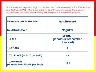 Result record 
Number of AFB in 100 fields 
Negative 
No AFB observed 
Scanty 
(record exact number observed) 
1-9 AFB 
+ 
10-99 AFB 
++ 
100-999 AFB (or 1-10 per field) 
+++ 
1000 or more 
(or more than 10 AFB per field) 
Examine each sample through the microscope. Systemically examine 100 fields for acid-fast bacilli (AFB). If AFB are present, count them and grade the quantity according to the scale below. If any AFB are present the result is positive.  