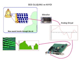 SES OLUŞUMU ve KAYDI Analog Sinyal Mikrofon 