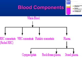 Lecture on Blood component therapy | PPT