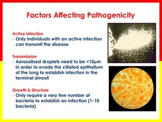Factors Affecting Pathogenicity 
Active Infection 
-Only individuals with an active infection can transmit the disease Transmission 
-Aerosolized droplets need to be <10μm in order to evade the ciliated epithelium of the lung to establish infection in the terminal alveoli Growth & Structure 
-Only require a very few number of bacteria to establish an infection (1-10 bacteria) 
M. Tuberculosis in sputum (stained in red)  