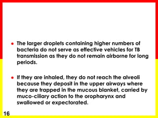 The larger droplets containing higher numbers of bacteria do not serve as effective vehicles for TB transmission as they do not remain airborne for long periods. 
If they are inhaled, they do not reach the alveoli because they deposit in the upper airways where they are trapped in the mucous blanket, carried by muco-ciliary action to the oropharynx and swallowed or expectorated. 
16  
