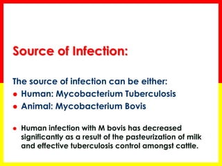 Source of Infection: 
The source of infection can be either: 
Human: Mycobacterium Tuberculosis 
Animal: Mycobacterium Bovis 
Human infection with M bovis has decreased significantly as a result of the pasteurization of milk and effective tuberculosis control amongst cattle.  